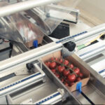 Zbliżenie na Automatyczną pakowarkę flow-pack SR750 umieszczającą karton pomidorów winogronowych w małym brązowym pojemniku na przenośniku taśmowym, z widocznymi metalowymi maszynami i przezroczystymi plastikowymi osłonami.